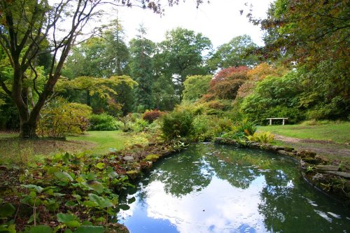 Exbury gardens, Exbury, Hampshire