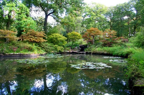 Exbury gardens, Exbury, Hampshire