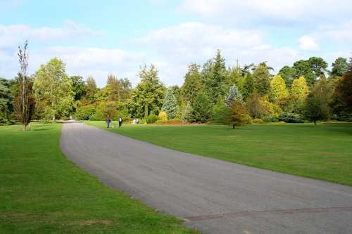 Exbury gardens, Exbury, Hampshire