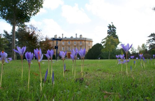 Exbury gardens, Exbury, Hampshire