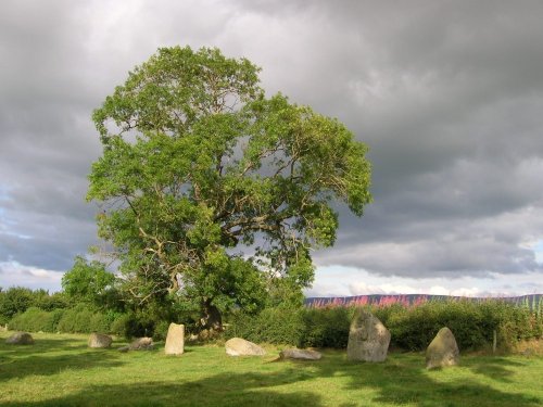 Long Meg & her Daughters (Maughanby Circle)- near Penrith, Cumbria