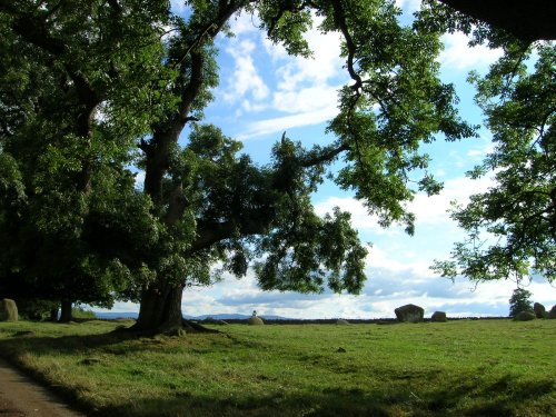 Long Meg & her Daughters (Maughanby Circle)- near Penrith, Cumbria