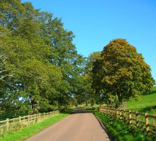 Country road at Abberwick, - Alnwick, Northumberland.