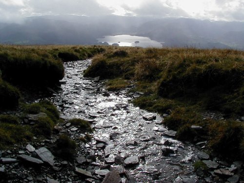 Derwent on the way up Skiddaw, Lake district