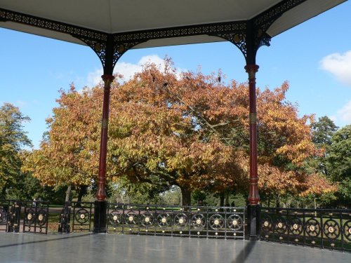 Autumn colours at Greenwich Park