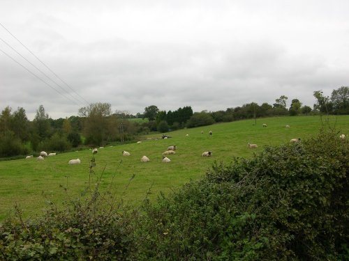 Pasture land at Radclive, Bucks