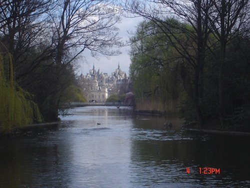 View behind Buckingham Palace, London