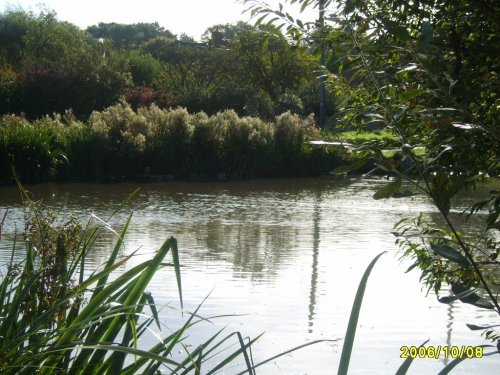 Village pond at East Runton, Norfolk