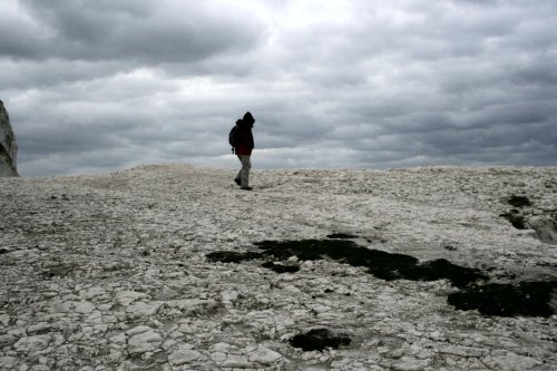 Chalk cliff top at the Seaford end of Seven sisters country park