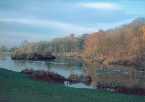 Hanley forest park, Stoke-on-Trent, Staffordshire