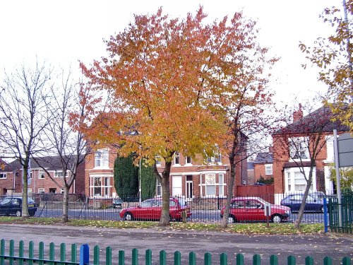 Dovecote Lane Park,Beeston Nottinghamshire.