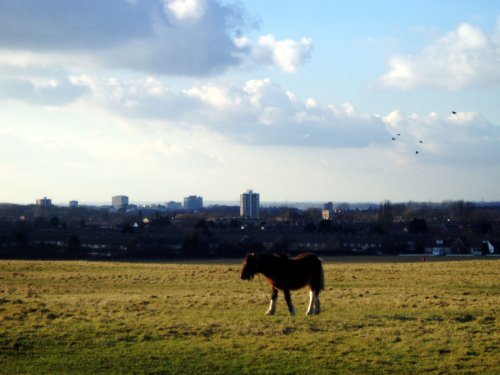 Overlooking Town centre, Harlow Common, Essex.