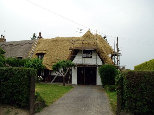 Thatched cottage, Foster Street, Harlow Common, Essex.