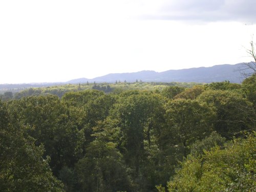 View from back of Wyche Cutting looking over Colwall into Herefordshire.