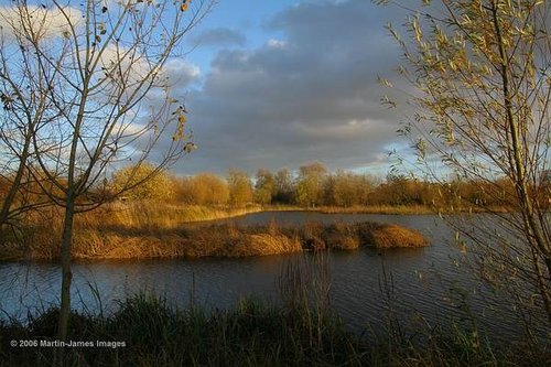 A picture of London Wetland Centre