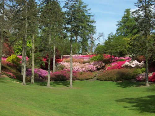 Valley Gardens, Surrey