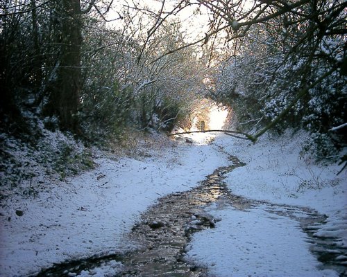 Snowy bridle way at Hannington, Northamptonshire.