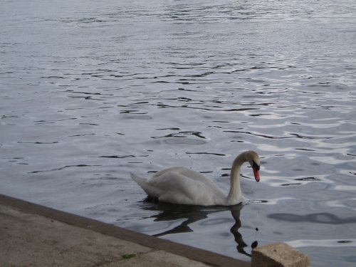 Marlow, Buckinghamshire - August 2006.