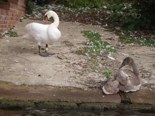 Marlow, Buckinghamshire - August 2006