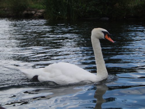 Marlow, Buckinghamshire - August 2006