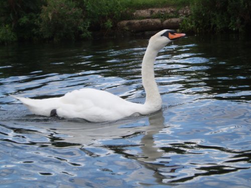 Marlow, Buckinghamshire - August 2006