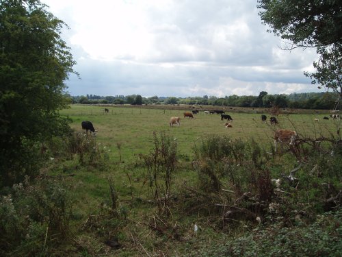 Marlow, Buckinghamshire - August 2006