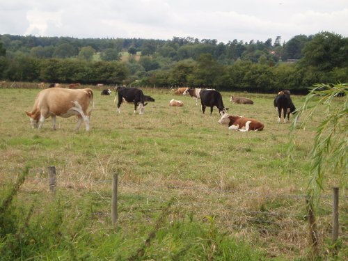 Marlow, Buckinghamshire - August 2006