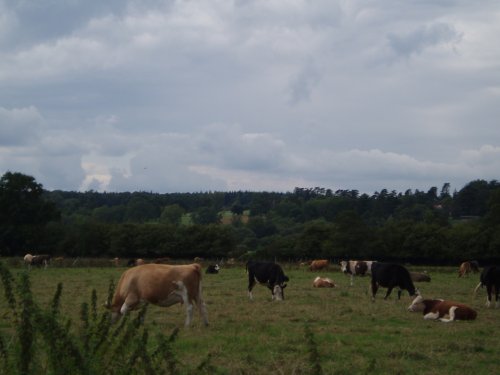 Marlow, Buckinghamshire - August 2006