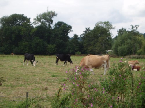 Marlow, Buckinghamshire - August 2006