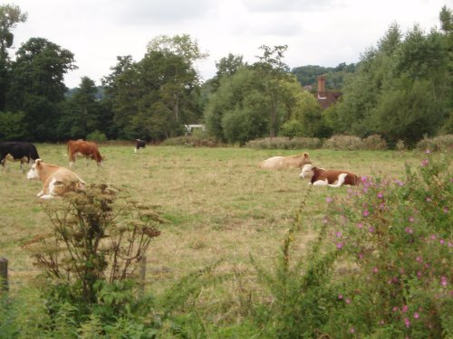 Marlow, Buckinghamshire - August 2006