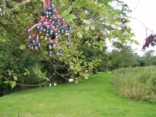 Marlow, Buckinghamshire - August 2006