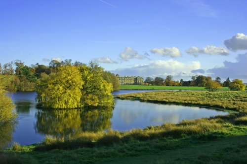 Petworth Park with Petworth House in the background, West Sussex.