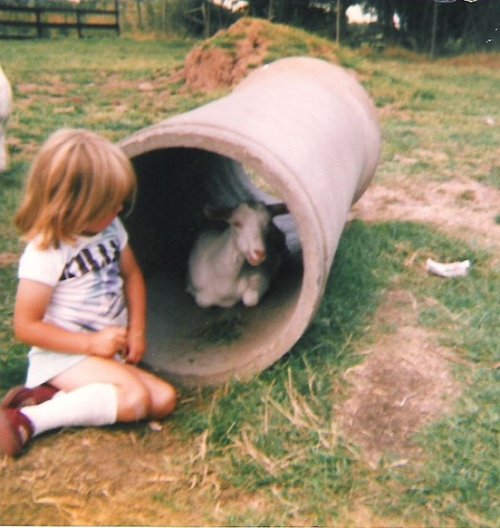 A picture of Sundown Kiddies Adventureland