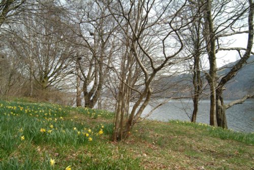 Wordsworth Point, Ullswater, Cumbria, Spring 2005.