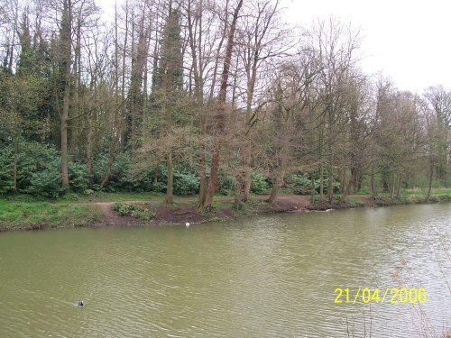 A lake in Swindon, Wiltshire.