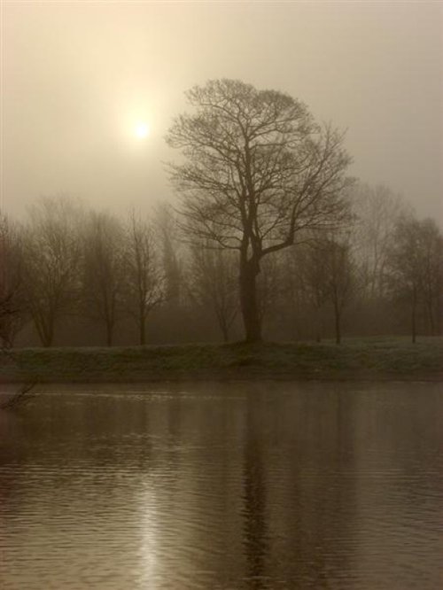 Mill farm, Kirkby, Merseyside.