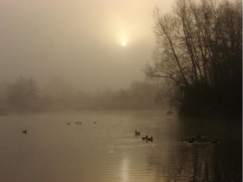 Mill farm, Kirkby, Merseyside.