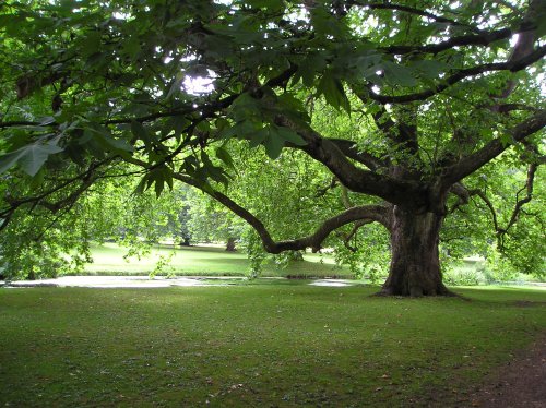 Audley End, Saffron Walden, Essex