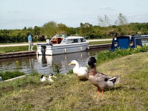 Trent and Mersey Canal, Fradley, Staffordshire