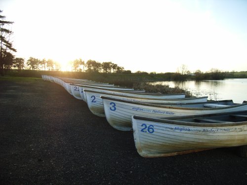 Pitsford Water, Northants