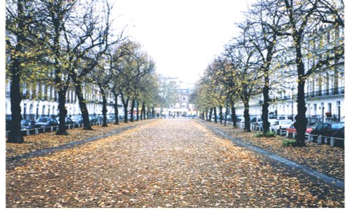 The Royal Avenue, Chelsea, London