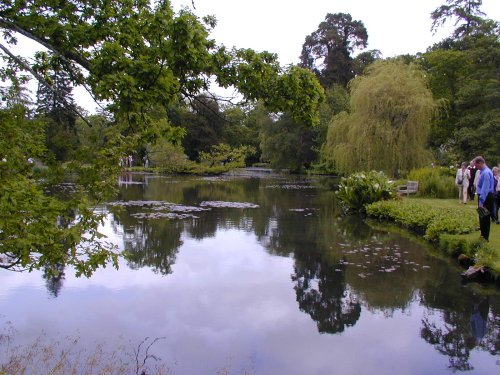 Longstock Park Water Garden, Hampshire