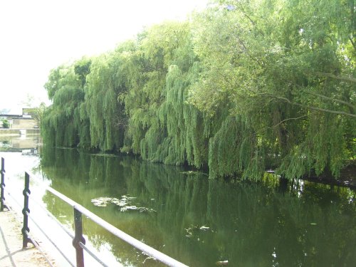 River Foss, York