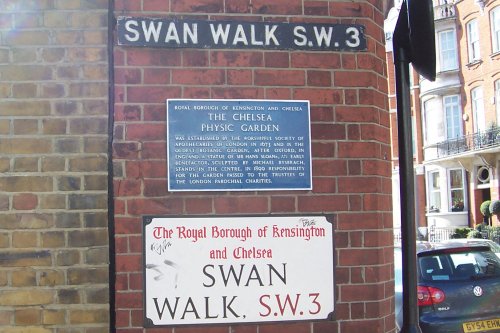 Chelsea Physic Gardens
Swan Walk  SW3