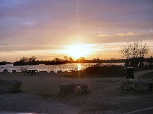 Nature reserve at Attenborough, near Beeston, Nottinghamshire.