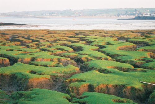 Greysands, Northam Burrows - looking back to Appledore, Devon (Dec 06)