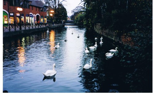 Salisbury, Wiltshire.