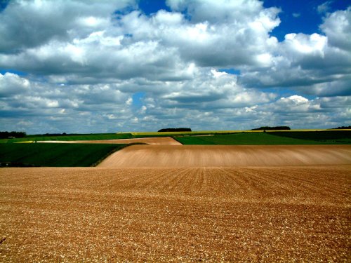 The rolling Yorkshire Wolds