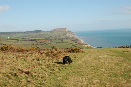 Towards Golden Cap, Charmouth