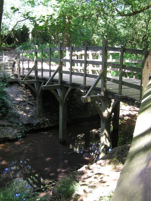 A picture of Ashdown Forest